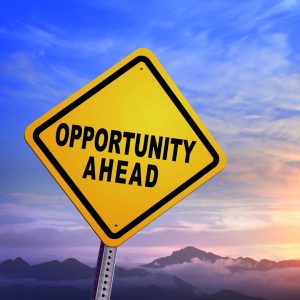 business opportunity